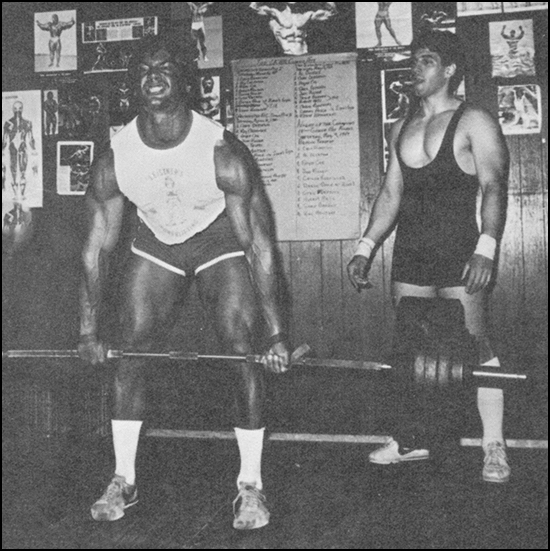 Comments on the Stiff-Leg Deadlift